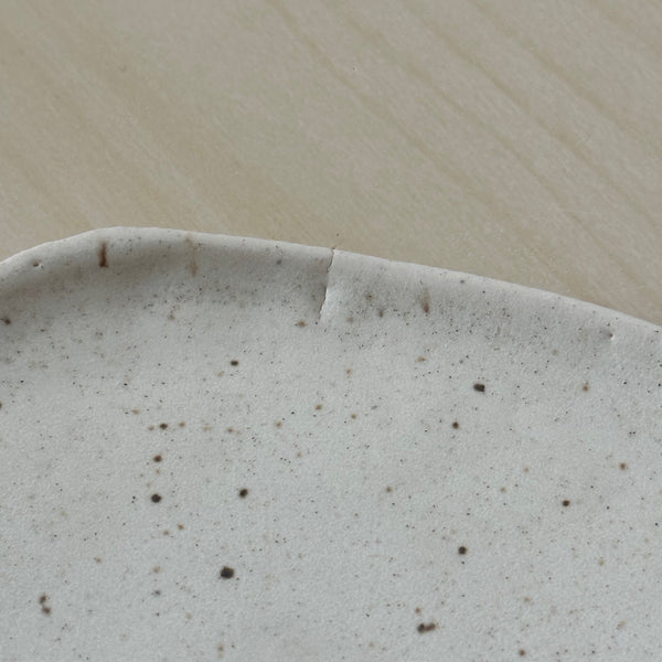 Sale Seashell plate and bowl